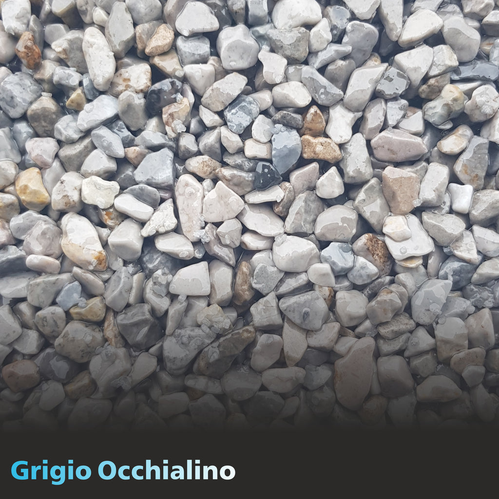 #Grigio Occhialino